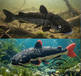 Articulated Catfish