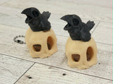 Raven and his pal Skully