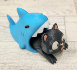 Shark Kitty