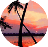 Palm Beach Sunset Car Coasters